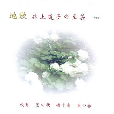 Inoue Michiko no Shigei - Volume 3