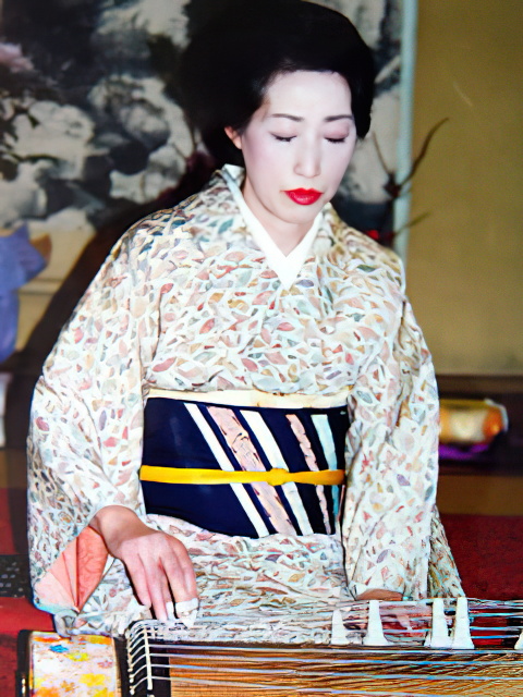 Fujii Chiyoga III